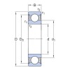 61804-ZZ GPZ